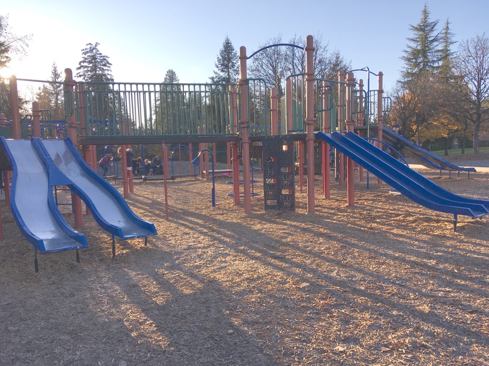 Forces and energy on the Playground ingridscience.ca